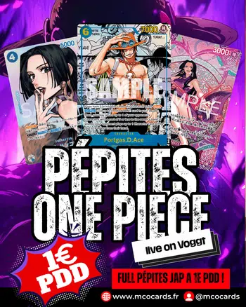 BIG SHOW ONE PIECE - PÉPITES JAP À 1E PDD !!