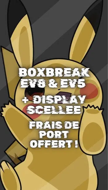 BOXBREAK EV8 + EV5 frais de port offerts !🎄