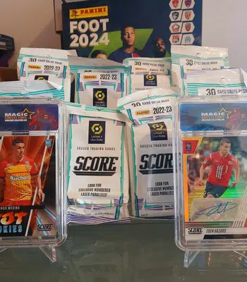 MIDI ! Tournée de PANINI !