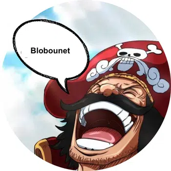 Le BAZARD du ROI DES PIRATES 🔥