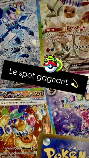 💫SV8a💫 spot gagnant = ta SAR Evolition pour 10€ oui oui !!!