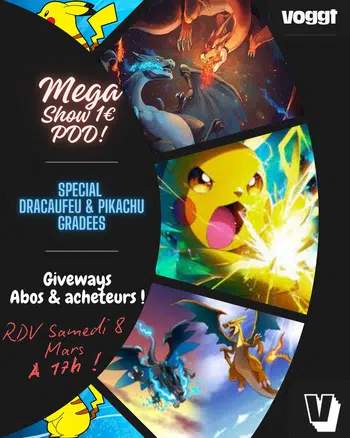 Show Evènement Spécial Dracaufeu & Pikachu 1€ PDD