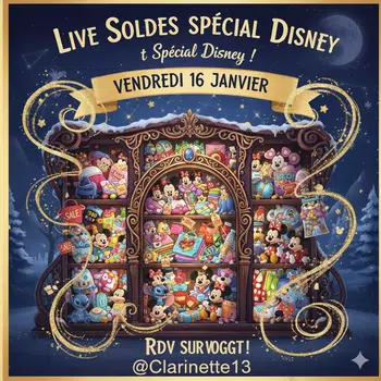 Live Soldes Disney