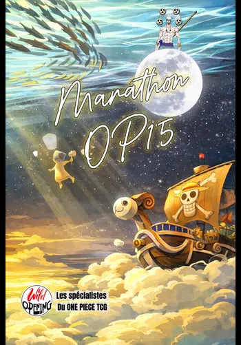 🏴‍☠️🏝️Spécial OP-15 île céleste 🏝️🎁Give acheteur ++ d'exeption💎🏴‍☠️