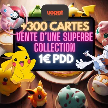 1PDD - FR/JAP - VENTE D'UNE COLLECTION DE FOU 😱