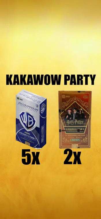 🔥WARNER BROS + HARRY POTTER🔥