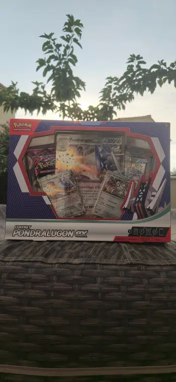 Pokevorz 👾 exclusivité FR coffret pondralugon stamp