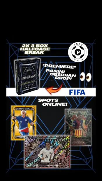 Obsidian Abriss 😎🥳 2x 3-Boxer 🔔insgesamt 24 Autos/Relics/Auto-Relics
