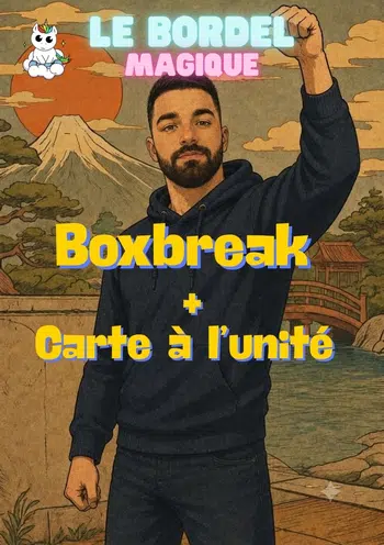 2 PDD  Carte à l'unité + Boxbreak Pokémon