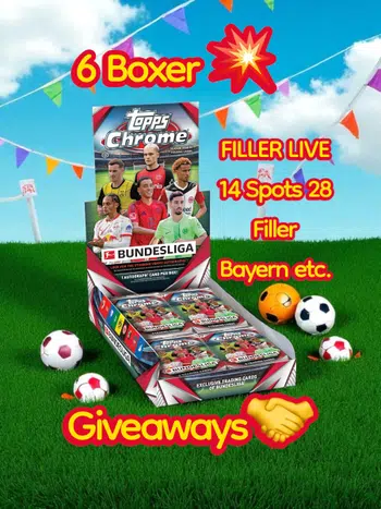 6 Boxer Filler!!! 14 Teams 28 Filler