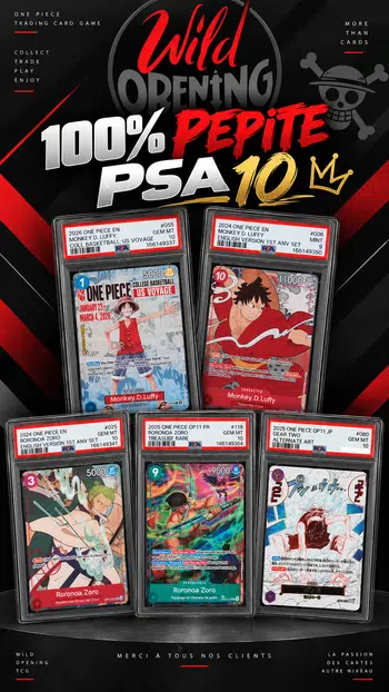 🏴☠️ PSA FR / US / JAP 🏴☠️ Wildo's SHOW 🏴☠️
