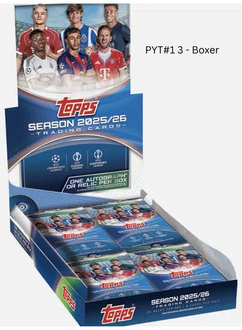 Meine bisher größte Show. 3 Boxer PYT Flagship + 1 Boxer Merlin + 1 Boxer BVB Focus ab 1€ + Personals