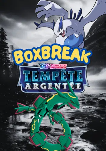 Display Tempête Argentée  Brique de lait / Célébrations