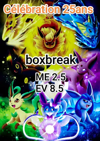 Live box break me2.5 fr et 8.5