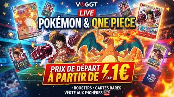 💥 En route vers le  One Piece