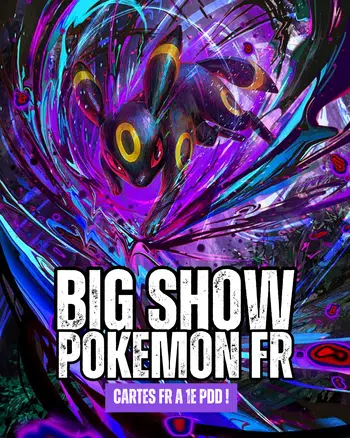 LE BIG SHOW MCO ! FULL FR EN LOOSE A 1E PDD !