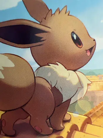 Evoli/evolition cartes et items