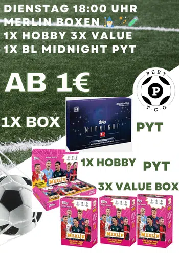 Ab 1€ PYT Merlin 4x (1xHobby & 3xValue) & 1x BL Midnight 🧙‍♂️🧪🪄50€ Voggt Givi