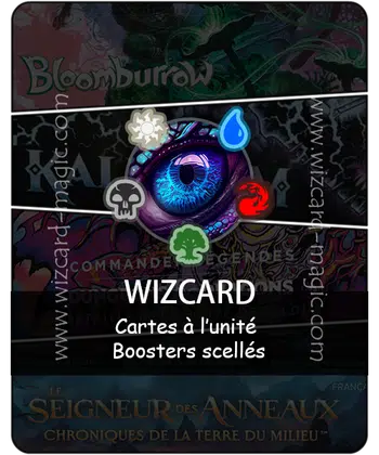 Wizcard MTG