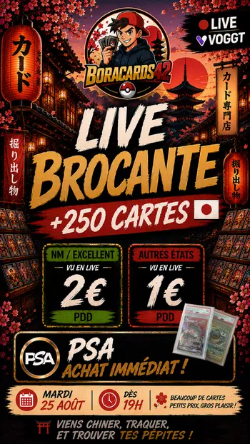 🧺 BROCANTE — 250+ CARTES 🇯🇵 | PDD 1€ / 2€ | PSA en achat immédiat 🔥