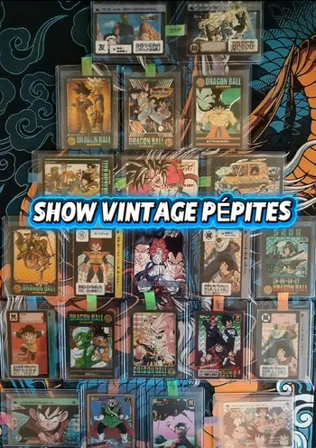 🇯🇵⛩️ BIG SHOW VINTAGE  ⛩️🇯🇵Visual adventure,super battle,tokubetsudan,carddass,...