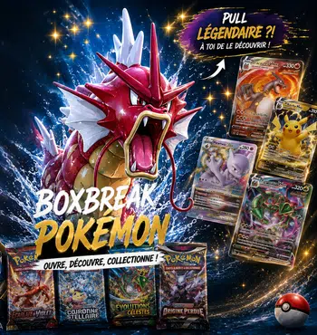 Cartes a l'unité 151 Héros Transcendants et Boxbreak multiséries!!