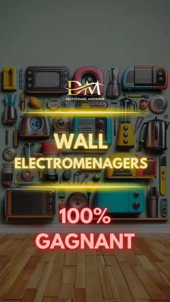 🧱  THE WALL - ELECTROMENAGERS 🧱