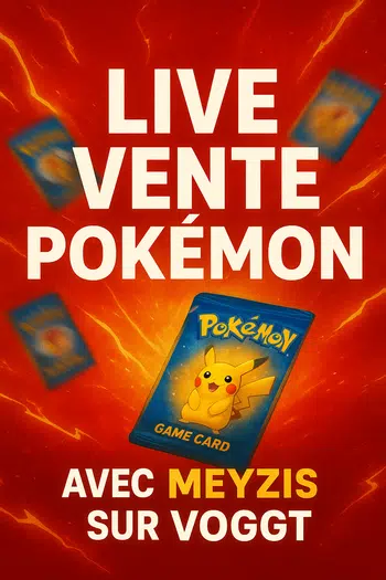 Vente Pokémon EXPRESS 💨 – 300 cartes 2€ PDD !