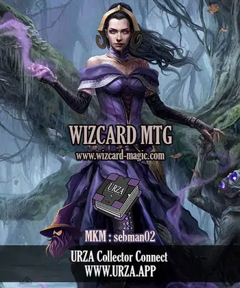 Wizcard MTG