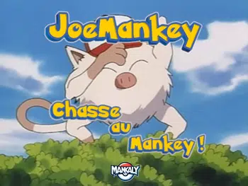 🐵 La chasse au Mankey de Joe ! 🐺