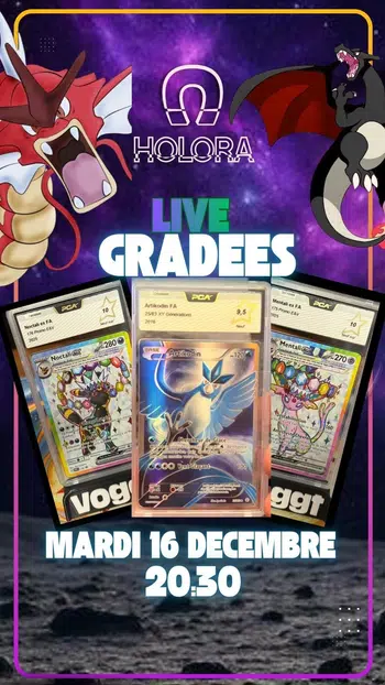 🧲 100% BANGER GRADEE FR 🇫🇷