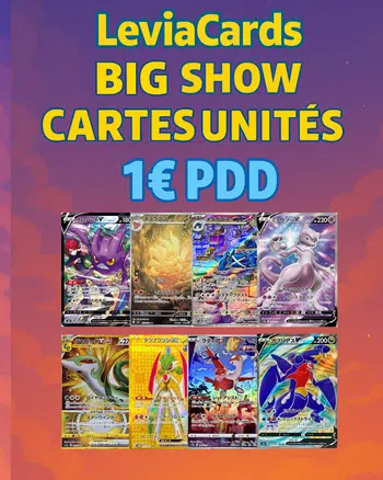 SHOW CARTES UNITES JPN - SAR , SR , AR , CHR