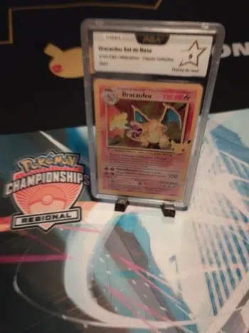 Le Royaume des Pokémons