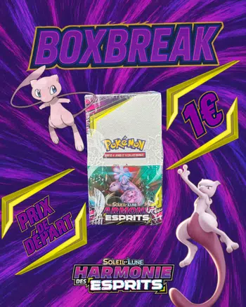 BOXBREAK Harmonie des Esprits