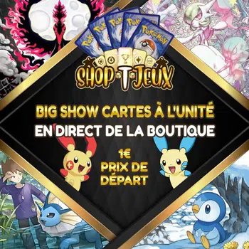 BIG SHOW POKEMON 1€ PDD, MEGA GIVE