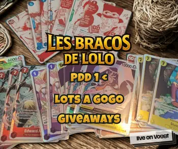 Les bracos de LoLo - PDD 1 €