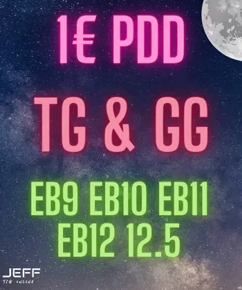 Gros lots de GG TG et dresseurs EB9 EB10 EB11 EB12 et 12.5