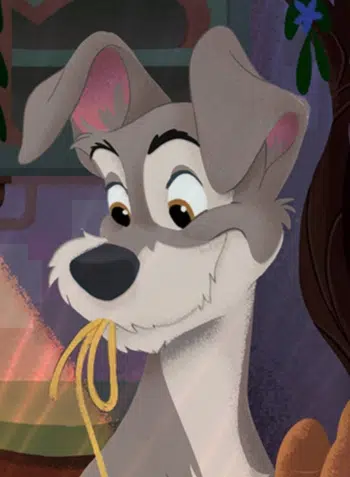 Lorcana - Chapitre 7 - Boxbreak