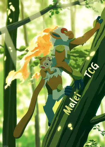 38 cartes gradées 1€ PDD Jap et FR