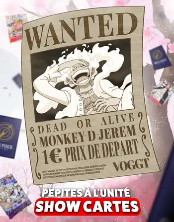 Cartes à l'unité : Chopper Manga et bien plus !