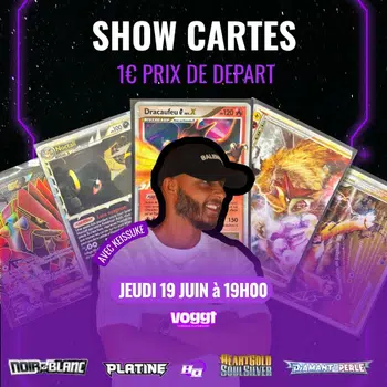 Show cartes DP Platine HGSS NB