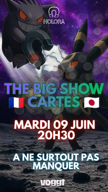 🇫🇷🇯🇵 THE BIG SHOW 100% CARTES 🇯🇵🇫🇷
