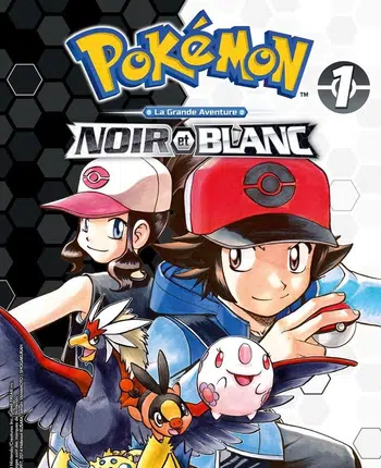 💥Cartes en Loose Noir et Blanc / Promo BW : État vu en Live 💥