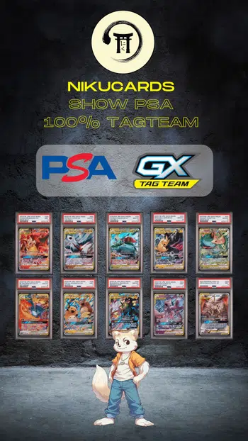 1€ PDD 100% TAG TEAM PSA 9 & 10 JPN