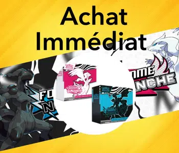 ✨️✨️BOXBREAK EV10.5  ✨️✨️ACHAT IMMÉDIAT