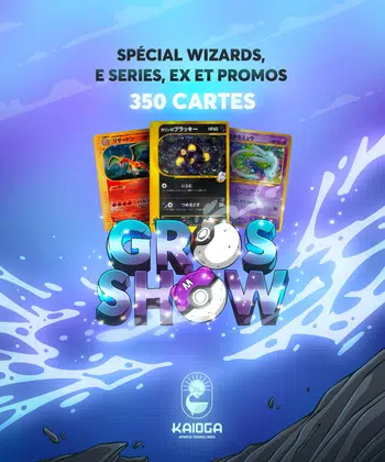 🔥SHOW VINTAGE DE 350 BANGERS ! Des cartes de folie parmi les plus recherchées à 1€ PDD ! 🌟