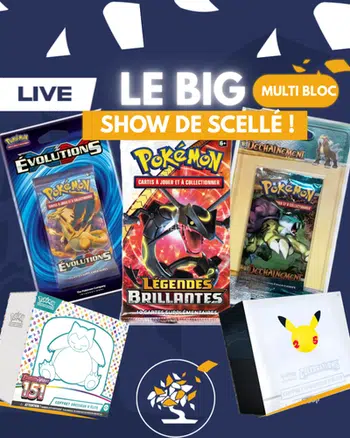GROS LIVE MULTI-BLOC ! ⚡️ (XY,SL,EB.EV..)