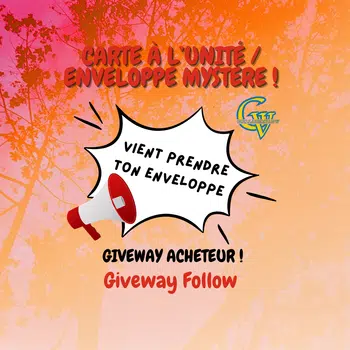 Carte à l'unité / Sleeve Mystère