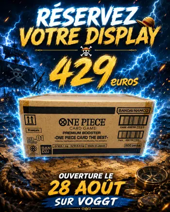 A la recherche da la crew  luffy