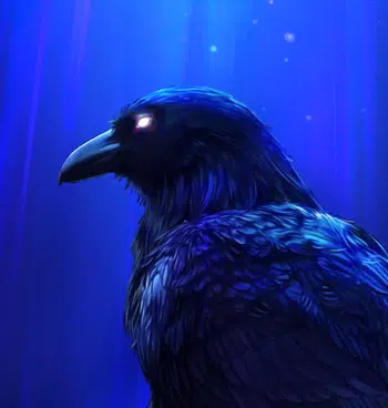 🍀💀Le Retour 💀🍀Live De Folie 🎁